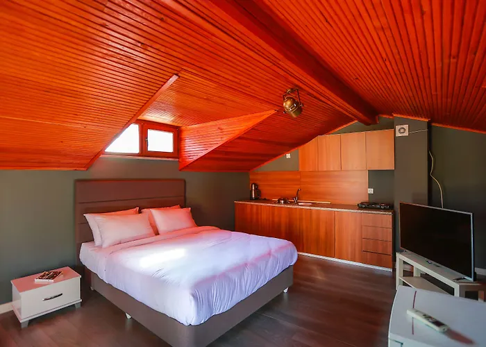 Flats Company - Karakoy Appartement Istanboel